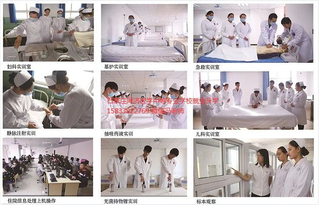 石家庄同济医学中等专业学校就业和升学.png